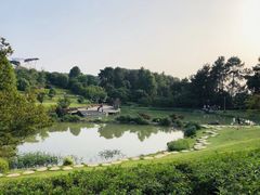 -铁山坪森林公园