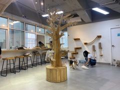 大堂-Heymao猫咖.咖啡厅(东门店)
