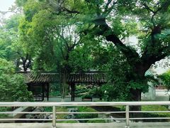 -苏州图书馆(人民路总馆)