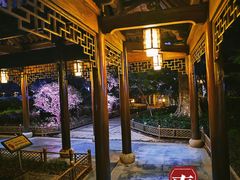 -绳金塔