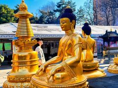 -护国法轮寺