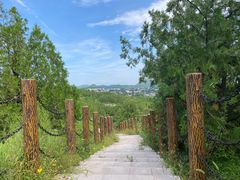 -白水寺森林公园