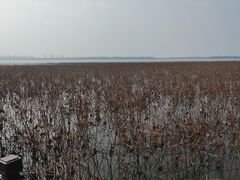 -阳澄湖半岛旅游度假区
