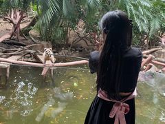 -长鹿旅游休博园