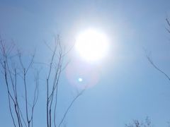 -绿野森林乐园冰雪季