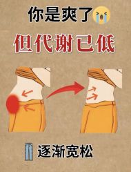 -Fundi张玉珊修身堂·indiba·BTL科技瘦身