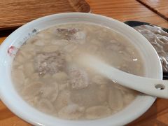 -海丝金凤(金鱼店)