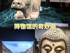 -宁夏博物馆