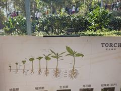 -Torch Coffee 炬点咖啡