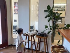 -有猫主题·治愈系猫咖(曾厝垵店)