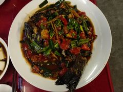 -生态苑农庄(十里画廊遇龙河店)