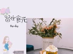 -树咖啡tree coffee