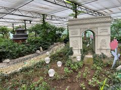 -南宫五洲植物乐园