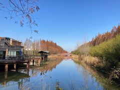 -黄海国家森林公园