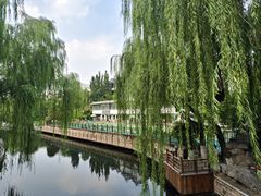 -环城公园