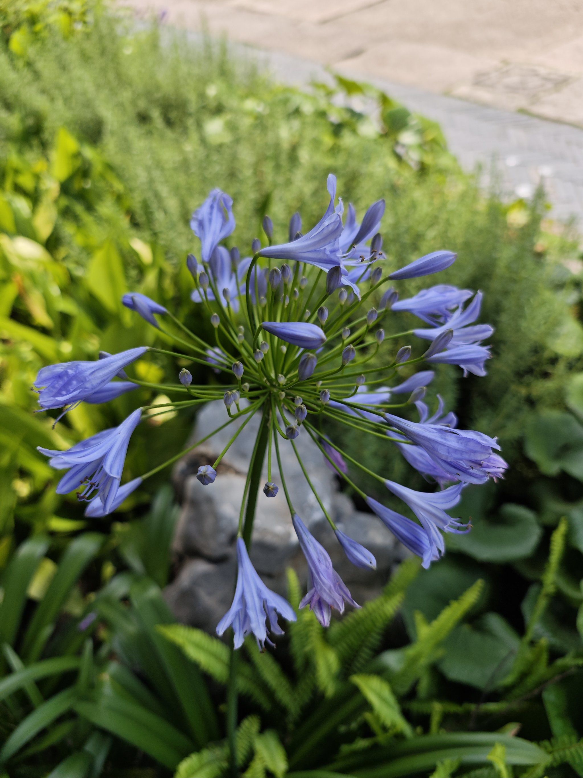 梦想小镇一日游