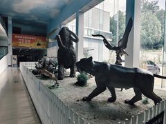-中国第四纪冰川遗迹陈列馆