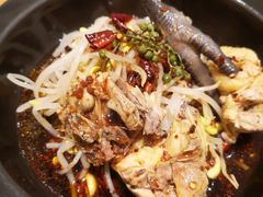-云海肴·汽锅鸡·云南代表菜(东坝金隅店)