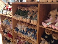 iphone_upload_pic-济州岛泰迪熊博物馆