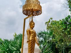 -西双版纳傣族园