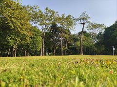 -南宁市凤岭儿童公园