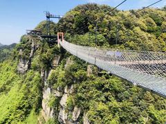 -梦幻奥陶纪景区