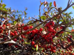 -南京市江宁方山