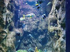 -海合安青岛极地海洋公园