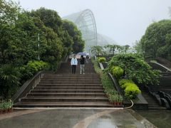 -南山植物园