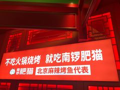 门面-南锣肥猫·麻辣烤鱼·16年现烤现卖(财富购物中心店)