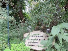 -香山公园