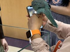 -帕帕拉兹宠物(亚洲旗舰店)