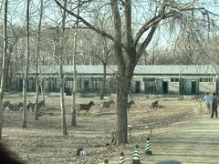 -秦皇岛野生动物园