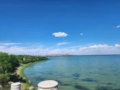 -天津东丽湖风景区