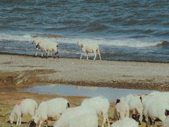 -青海湖国家重点风景名胜区