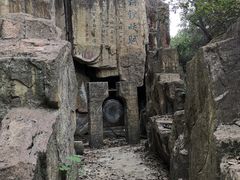 -铁山坪森林公园