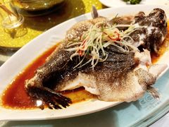 -光明邨大酒家(淮海路店)