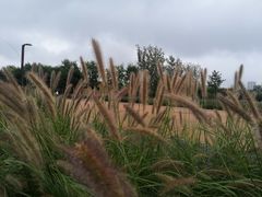 -汉长安城未央宫国家考古遗址公园