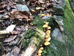 -藏龙百瀑风景区