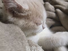 -小本鸡饭店(滨江白马湖店)