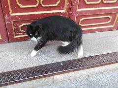 -露雨轩茶楼(牡丹园店)