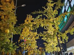 -海维克牛排馆HIGHWIC(右岸环宇坊店)