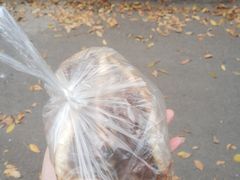 -王虎子大饼(甸柳新村五区店)