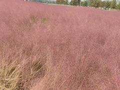 -汉长安城未央宫国家考古遗址公园