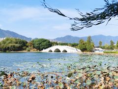 -飞来湖湿地公园