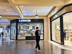 -澳门威尼斯人综合度假区