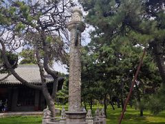 -北陵公园
