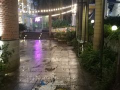 -有猫主题·治愈系猫咖(曾厝垵店)