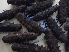 -宫品海参专卖店(黄浦老西门店)