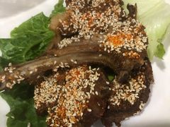 -蒙古原烤羊排(龙岗店)